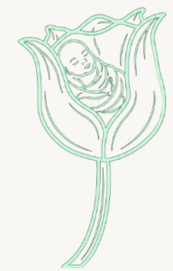 Line-art rose cradling a child